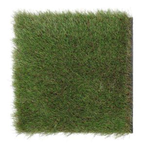 Herbe Décorative